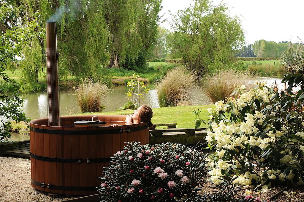 Revive On Oakview Boutique Beauty And Accommodation Ashburton Zimmer foto